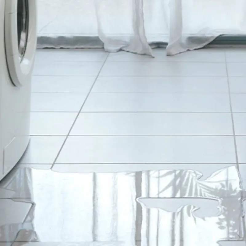Appliance Leak Cleanup in Houston, AK