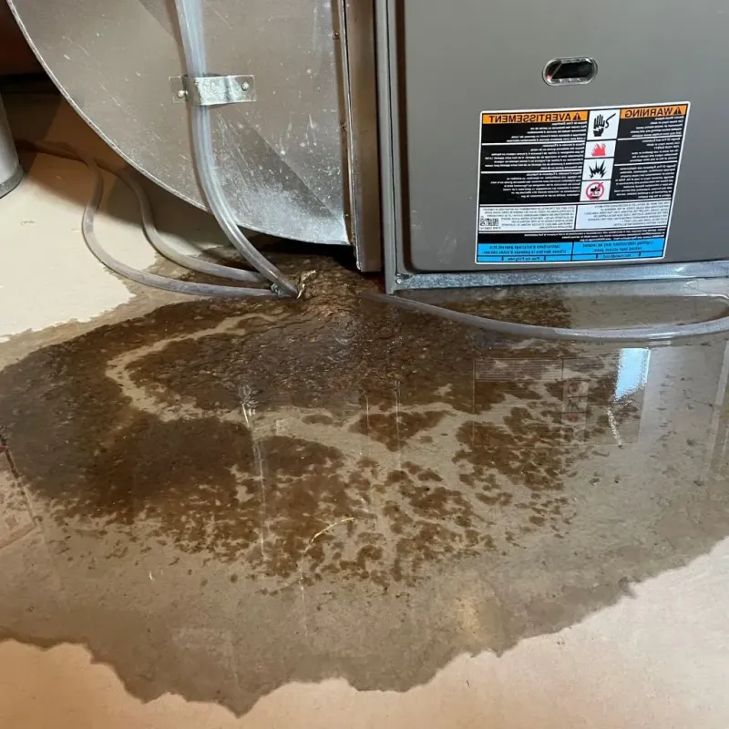 Pipe Burst and Leak Restoration in Houston, AK