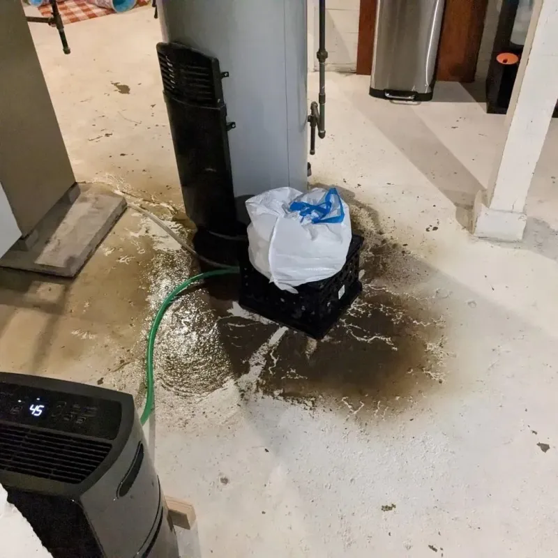 Sewage Backup Cleanup Service in Houston, AK
